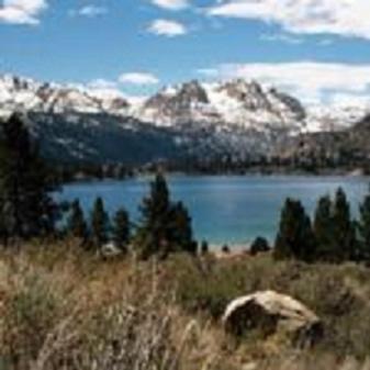 Birch Creek #1 - 1Br/1Ba - Down Canyon June Lake Exterior foto