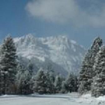 Birch Creek #1 - 1Br/1Ba - Down Canyon June Lake Exterior foto